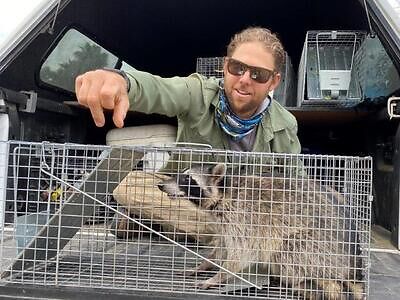 Nashville pest control